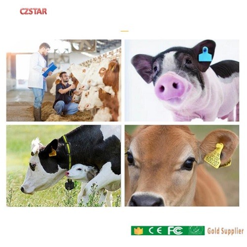 iso11784 11785 EM4305 chip 134.2khz fdx-b animal ear rfid tags Livestock animal tracking management tag 